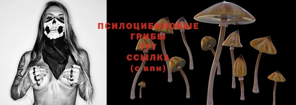 шишки Володарск