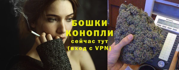 шишки Володарск