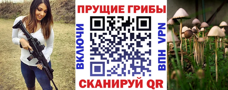 shop наркотические препараты  Подольск  Псилоцибиновые грибы Psilocybine cubensis 