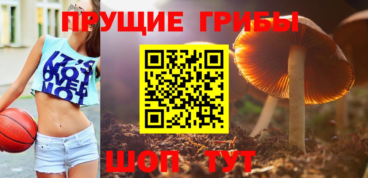Галлюциногенные грибы Magic Shrooms  Вход с VPN  Подольск 